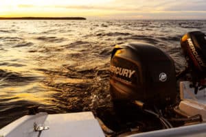 trim your outboard